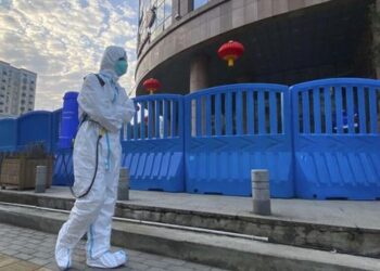 ВОЗ не исключает, что в распространении COVID могли сыграть роль енотовидные собаки