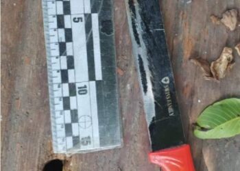 На Миколаївщині пасинок засадив вітчиму кулаком в обличчя, за що негайно отримав удар ножем | Кримінальні новини