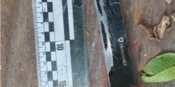 На Миколаївщині пасинок засадив вітчиму кулаком в обличчя, за що негайно отримав удар ножем | Кримінальні новини
