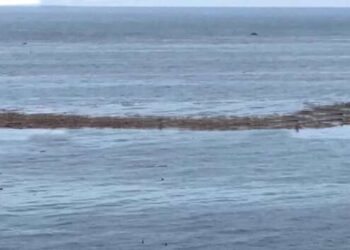 Диваны и крыши домов: к одесскому берегу продолжает прибивать мусор