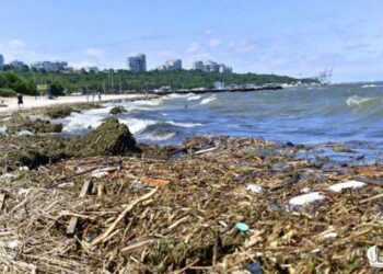 Жителям Одессы и области запретили купаться и ловить рыбу в море