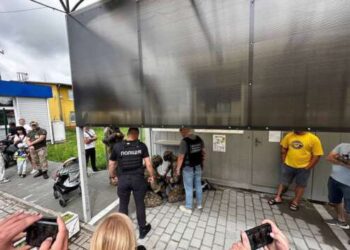 В Закарпатье мужчина продавал детей на органы в европейские страны