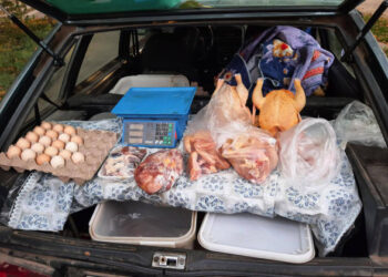 В Мариуполе все больше людей госпитализируют с кишечными инфекциями: среди пациентов — младенец