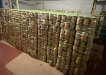 ФОП продала Чорноморській міській раді консерви сумнівної якості — Новини Одеської області