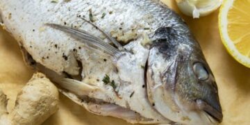Мешканці Одеської області труяться рибою: за добу — чотири виклики «швидкої» — Новини Одеської області