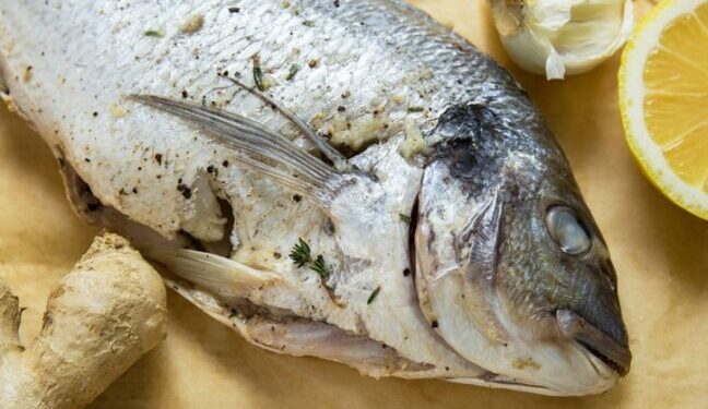 Мешканці Одеської області труяться рибою: за добу — чотири виклики «швидкої» — Новини Одеської області