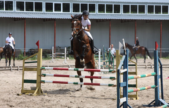 На Черкащині відбулися відкриті змагання з кінного спорту