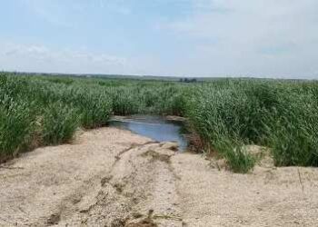 На Одещині планують відновити озеро | Надзвичайні події Одесса та область