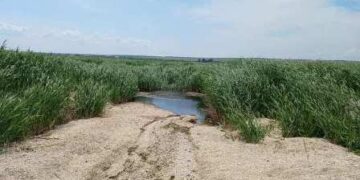 На Одещині планують відновити озеро | Надзвичайні події Одесса та область