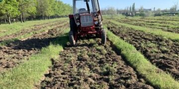 На Одещині висадять молодий ліс | Надзвичайні події Одесса та область