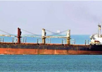 Рекорд воєнного часу: в порт Ізмаїла зайшло найбільше судно