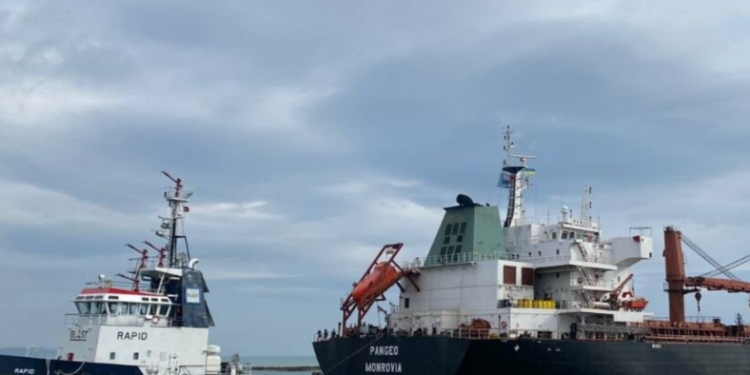 В черзі 50 суден: Росія заблокувала судна «зернової ініціативи»