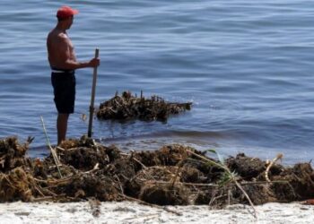 В Одесской области вспышек инфекции нет, но состояние воды неудовлетворительное