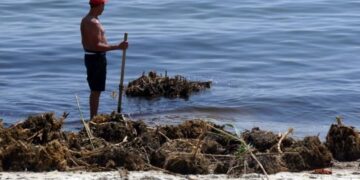 В Одесской области вспышек инфекции нет, но состояние воды неудовлетворительное