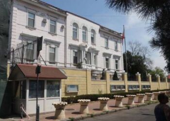 Красный лебедь. Какую игру ведет КНР после презентации «мирного плана»