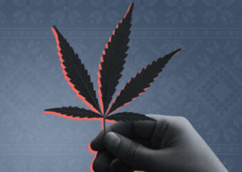 Почему медицинский каннабис хотят легализовать законом, а не решением КМУ?