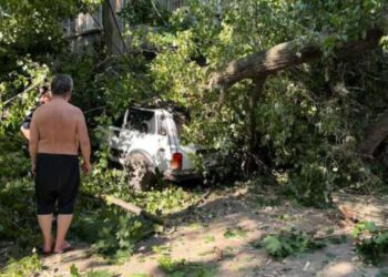 В Одессе авто переселенцев из Херсона придавило дерево