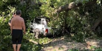 В Одессе авто переселенцев из Херсона придавило дерево