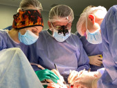 Во Львове врачи выполнили рекордное количество одномоментных трансплантаций - фото 7