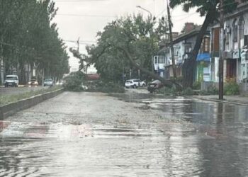Харьков затопил ливень: падают деревья, супермаркет в воде