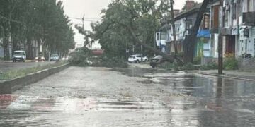 Харьков затопил ливень: падают деревья, супермаркет в воде