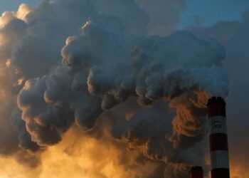 Загрязнение воздуха ежегодно убивает 1200 детей и подростков в Европе