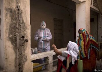 Новый вариант COVID «Арктур» может быть в 1,2 раза более заразным, чем «Кракен»