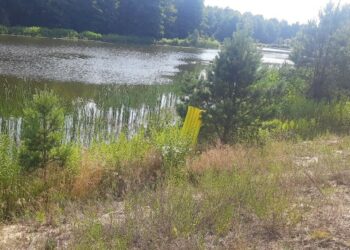 Обставини загибелі у водоймах дорослого чоловіка та підлітка встановлює поліція Рівненщини | Кримінальні новини