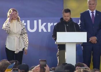 Зеленский ответил Уоллесу на требование благодарности