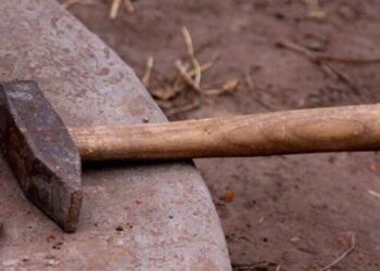 На Закарпатье 3-летняя девочка убила сестру молотком: что решил суд