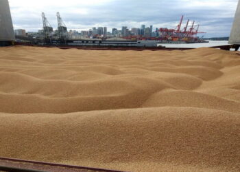 Росія знову блокує «зернову угоду» — Новини Одеської області