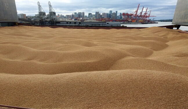 Росія знову блокує «зернову угоду» — Новини Одеської області