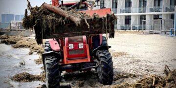В Одесі почали розчищати пляжі від наносів з Дніпра після підриву Каховської ГЕС | Одеський Монітор