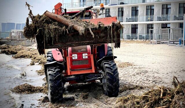 В Одесі почали розчищати пляжі від наносів з Дніпра після підриву Каховської ГЕС | Одеський Монітор