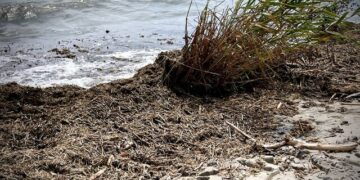 В Одесі всі пляжі непридатні для купання в морі | Одеський Монітор
