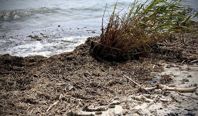 В Одесі всі пляжі непридатні для купання в морі | Одеський Монітор