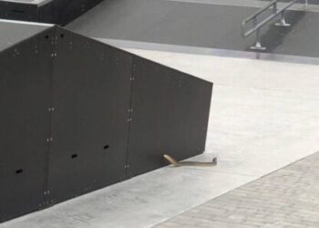 В Южному в парку Приморському помітили змію | YНовини одещіни