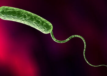 Подрыв Каховской ГЭС: в Минздраве рассказали, как защититься от холеры