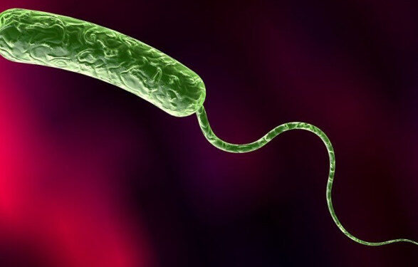 Подрыв Каховской ГЭС: в Минздраве рассказали, как защититься от холеры