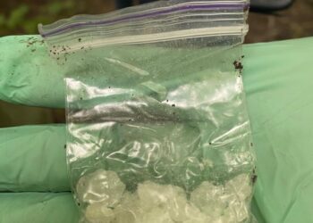 На Волині обрано запобіжний захід наркодилеру, якого взяли з чималою партією товару. ФОТО | Кримінальні новини