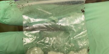 На Волині обрано запобіжний захід наркодилеру, якого взяли з чималою партією товару. ФОТО | Кримінальні новини