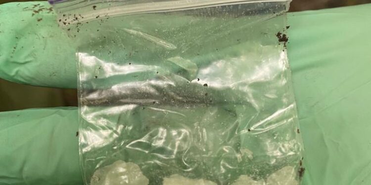 На Волині обрано запобіжний захід наркодилеру, якого взяли з чималою партією товару. ФОТО | Кримінальні новини