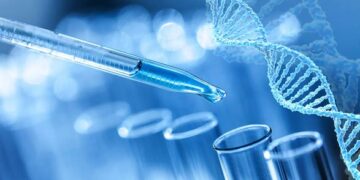 BioNTech и OncoC4 объявили о многообещающих результатах испытаний антител против рака легких