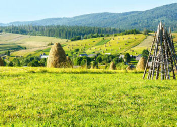 Сухо, тепло, солнечно: погода в Украине на 28 сентября