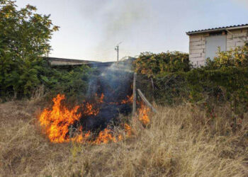 Пожежі почастішали: в Южному вкотре ліквідували загорання на місцевості (фото) | YНовини одещіни
