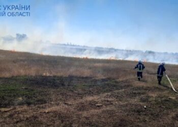 В Южному рятувальники ліквідували пожежу на полі біля житлових будинків (відео) | YНовини одещіни
