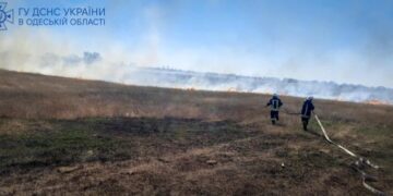 В Южному рятувальники ліквідували пожежу на полі біля житлових будинків (відео) | YНовини одещіни