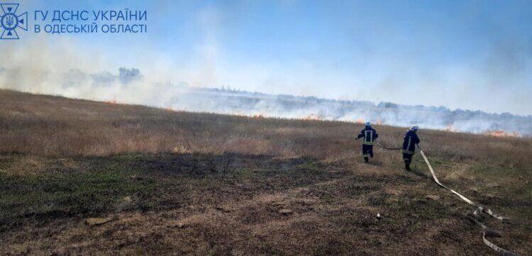 В Южному рятувальники ліквідували пожежу на полі біля житлових будинків (відео) | YНовини одещіни