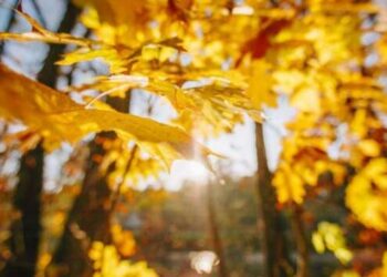 Погода в Одессе на 3 октября: ожидается солнечный день