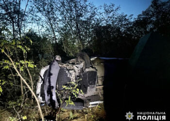 Поліція Миколаївщини просить допомоги у розслідуванні ДТП із загиблим та пораненим. ФОТО | Кримінальні новини
